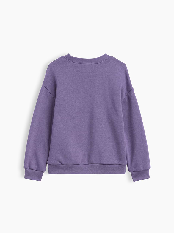 babyGap Crewneck Sweatshirt