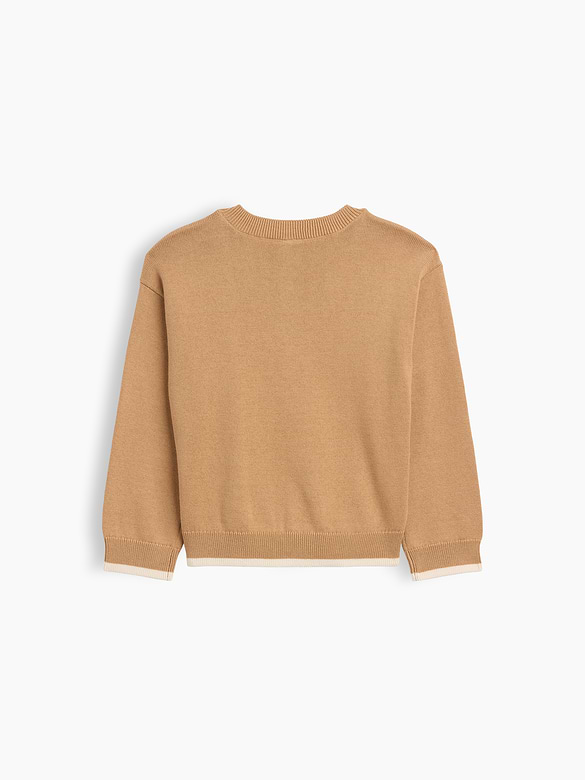 babyGap Intarsia Crewneck Sweater