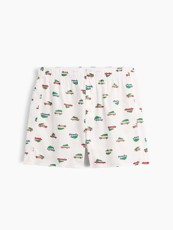 4" Boxers