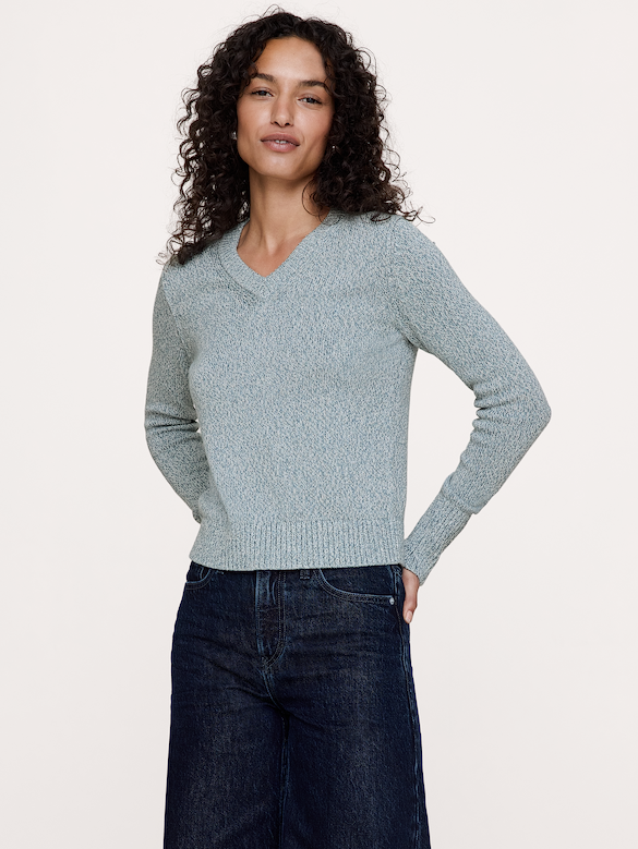 Larkspur Cotton-Silk V-Neck Sweater