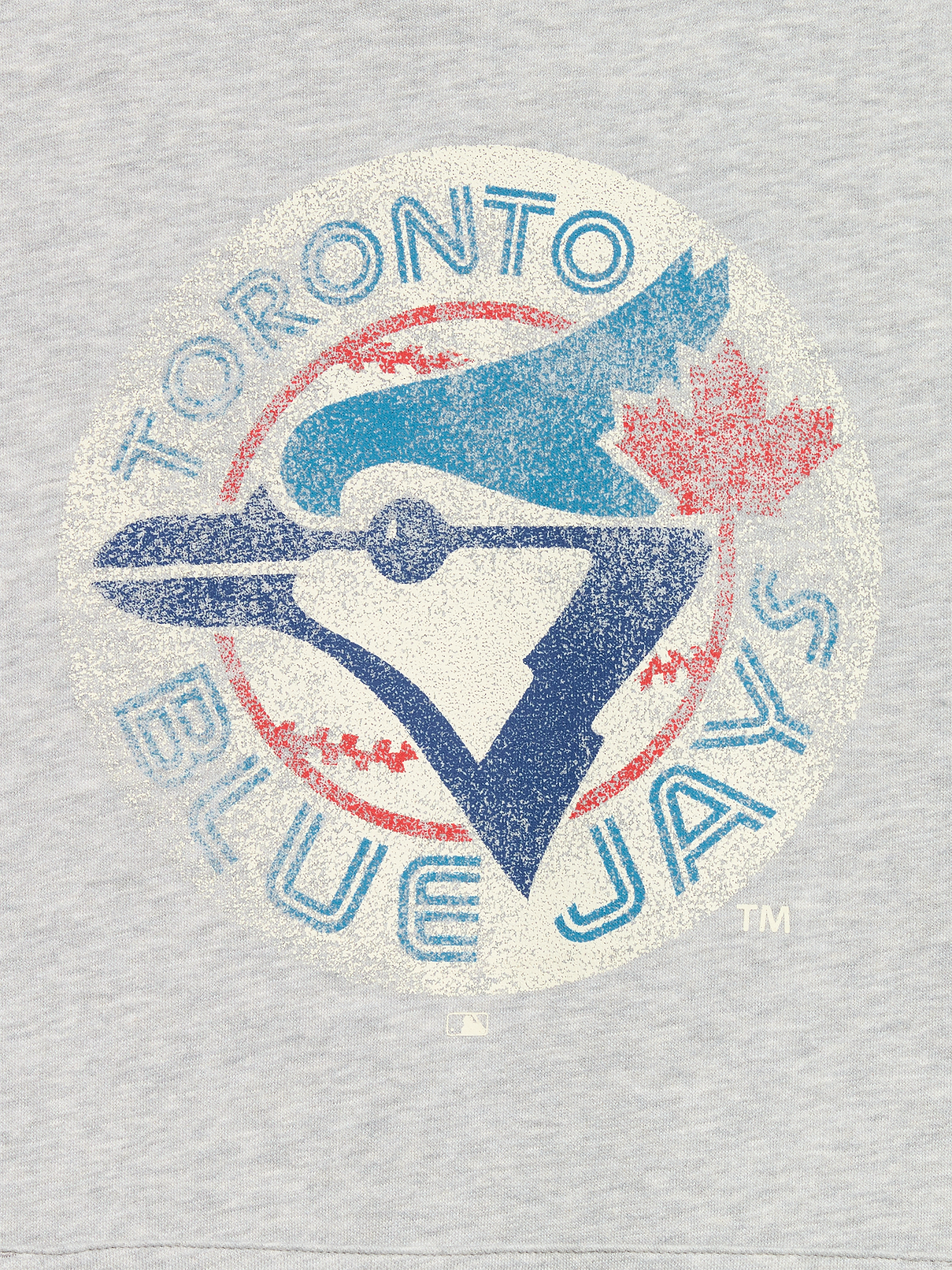 Image number 3 showing, Toronto Blue Jays Pullover Hoodie for Men