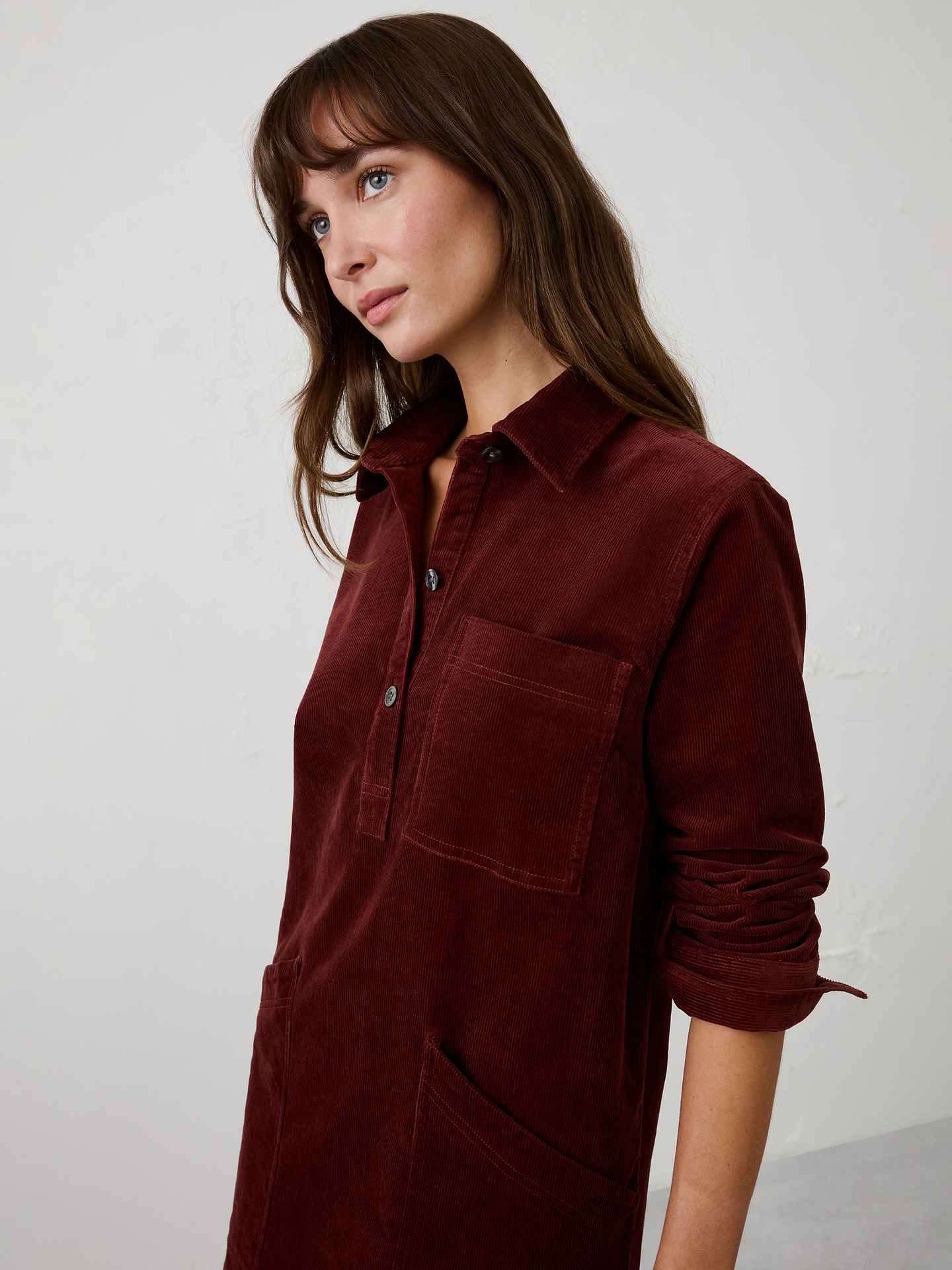 Image number 3 showing, Collared Above-Knee Shift Dress
