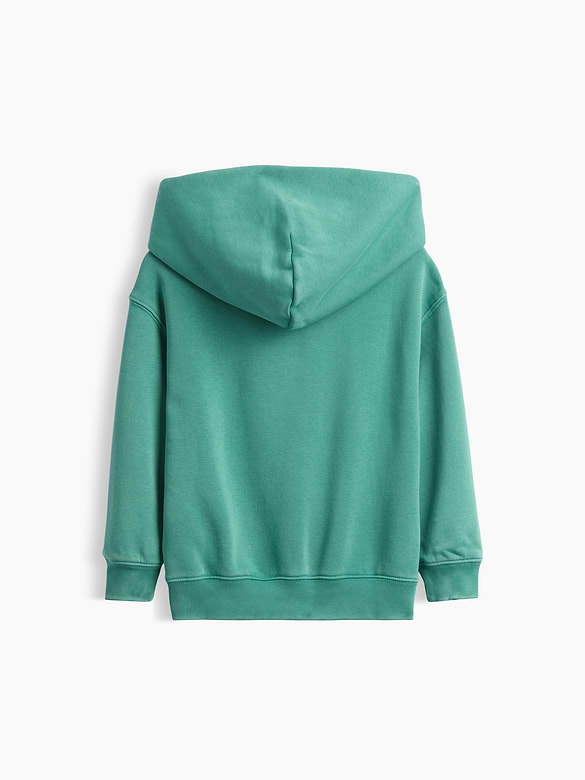 Baby & Toddler VintageSoft Logo Hoodie