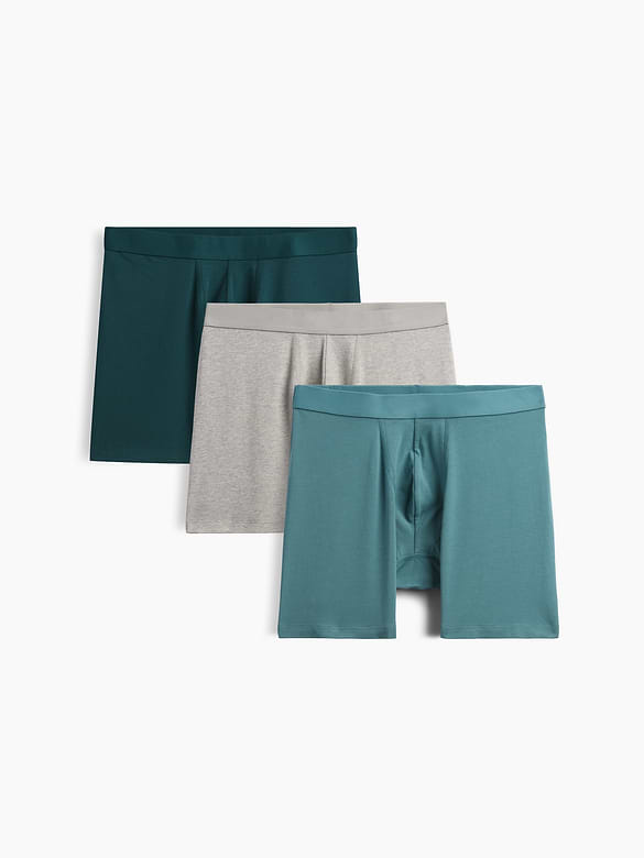 5" Boxer Briefs (3-Pack)