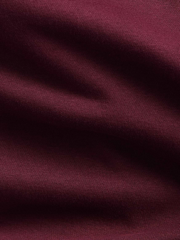 VintageSoft Crop Logo Hoodie
