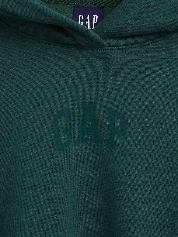 VintageSoft Crop Logo Hoodie