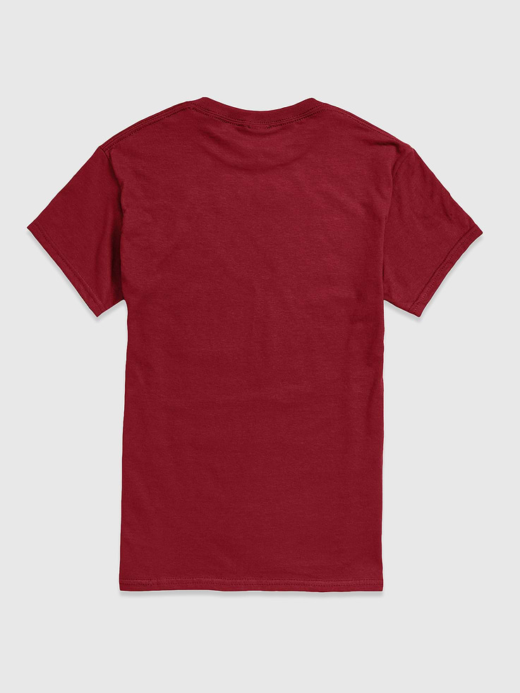 Image number 2 showing, NFL Team Motto Short Sleeve Graphic T-Shirt