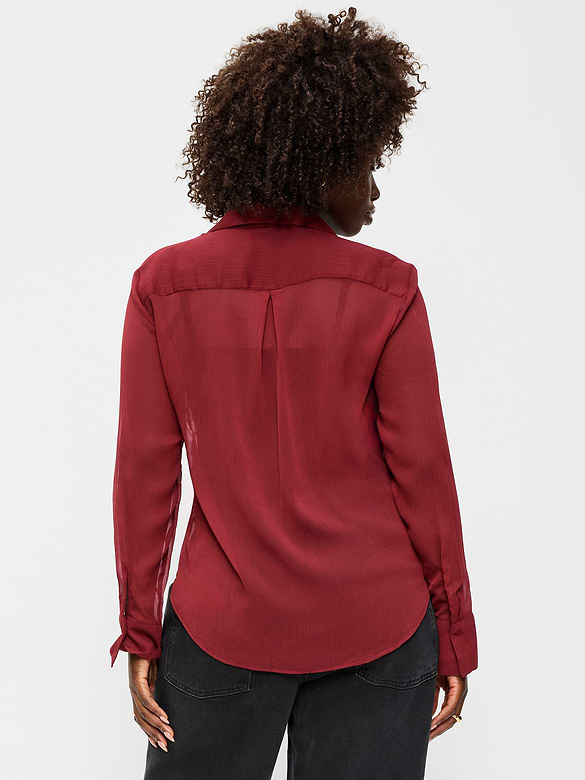 Chiffon Sheer Button-Down Shirt