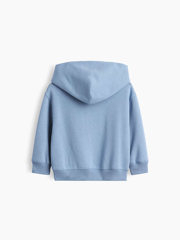 Baby & Toddler VintageSoft Relaxed Hoodie