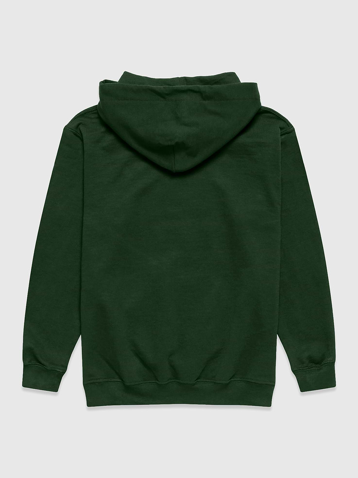 Image number 2 showing, NFL Team Motto Pullover Hoodie
