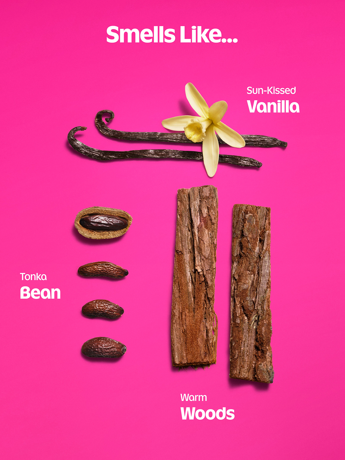 Image 3 of 9, Vanilla Crush Body Lotion -- 8 oz.