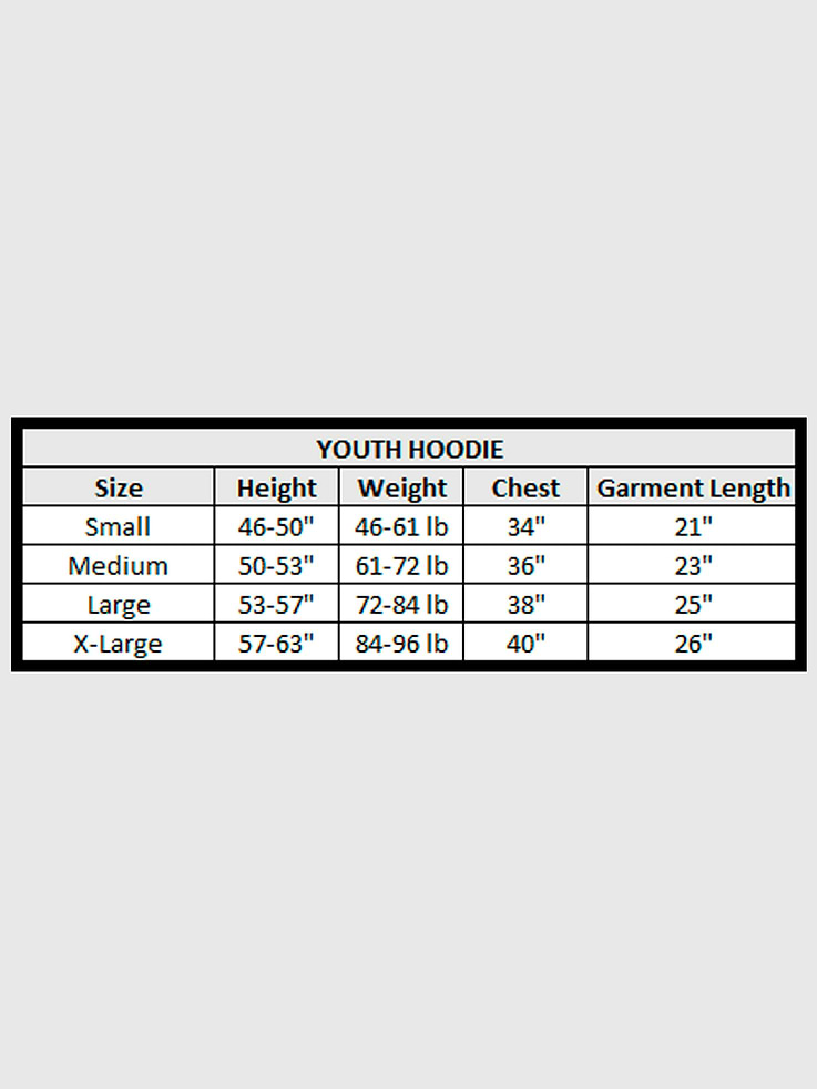 Image number 4 showing, Kids NFL Signature Script Pullover Hoodie
