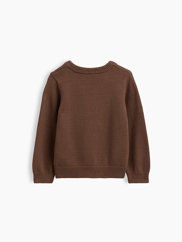 Baby & Toddler Crewneck Sweater