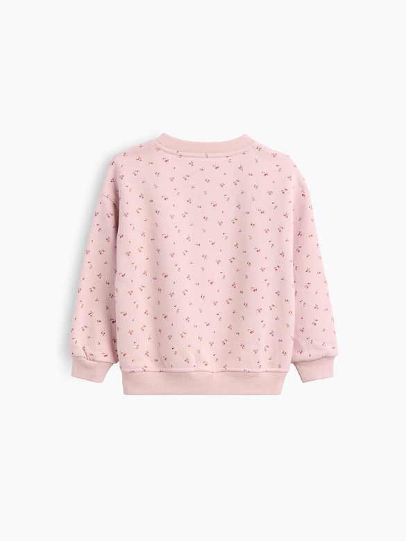 Baby & Toddler VintageSoft Print Sweatshirt