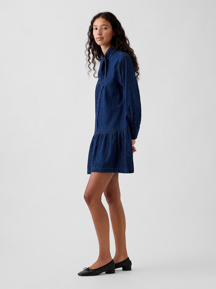 Image 3 of 5, Denim Tie-Neck Mini Shirtdress