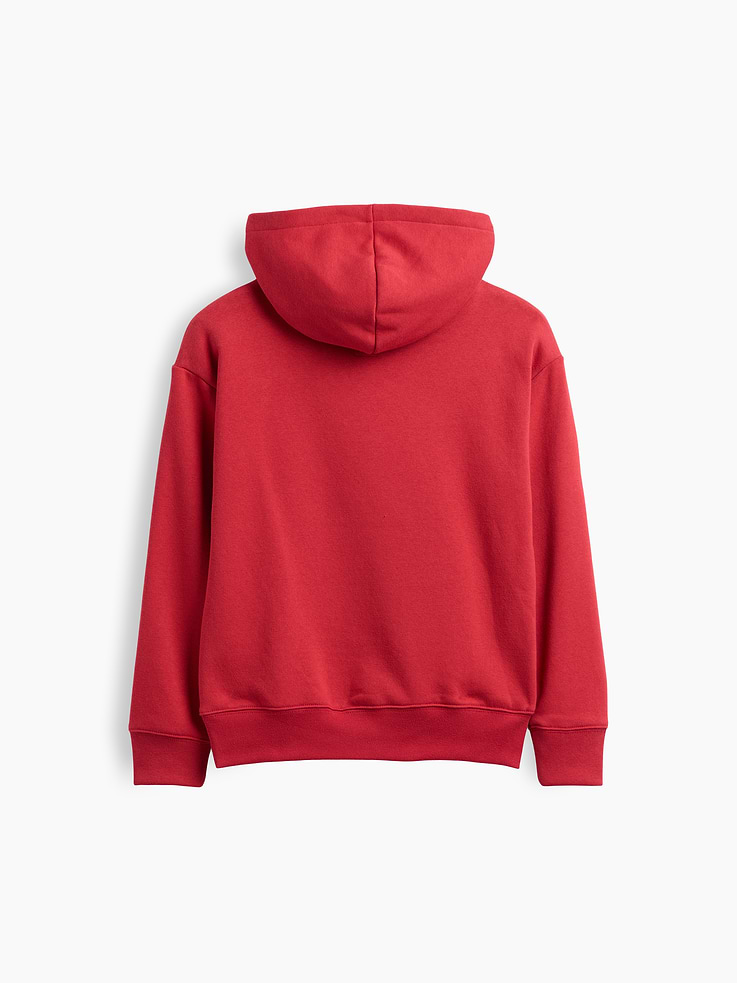 Image number 3 showing, Kids Relaxed Brannan Bear Gap Logo Hoodie