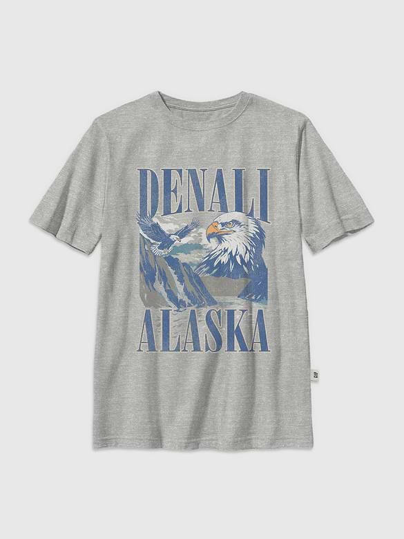 Kids Denali Alaska Graphic T-Shirt