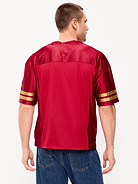 Image number 2 showing, San Francisco 49ers Lifestyle Jersey T-Shirt for Men