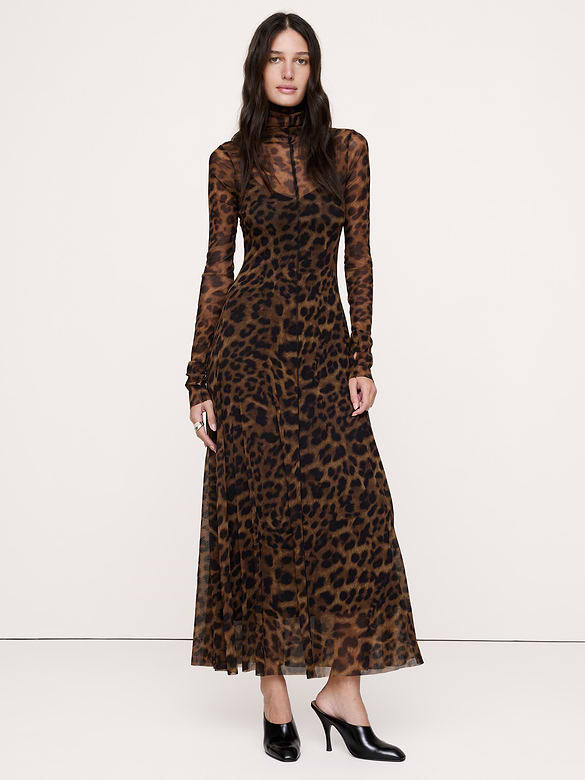 Mesh Long-Sleeve Maxi Dress