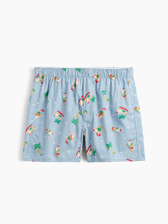 4" Boxers