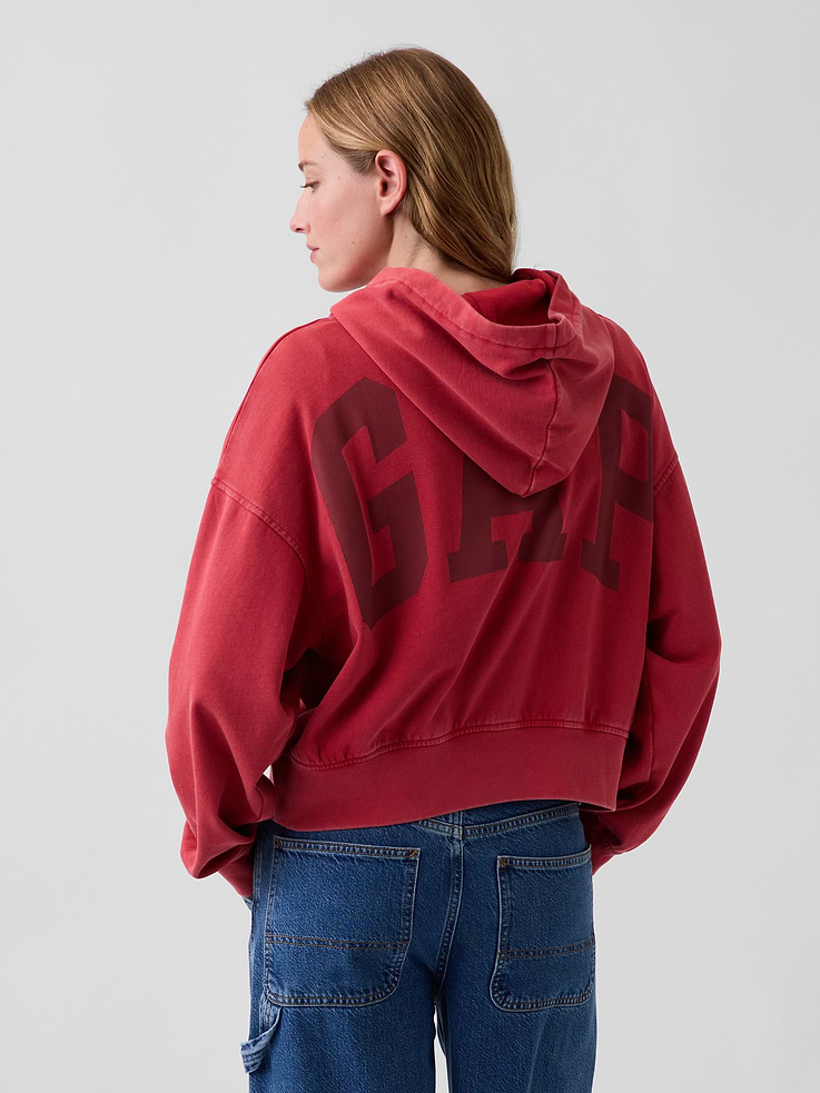 Image 3 of 5, VintageSoft Terry Logo Hoodie