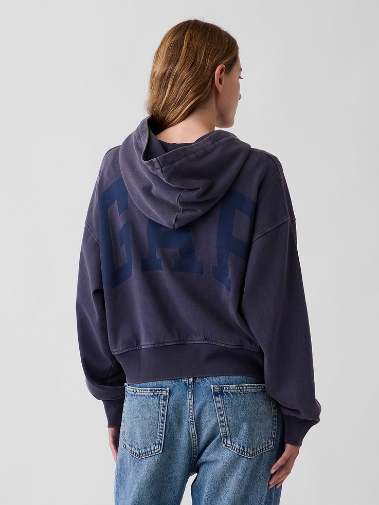 Image 3 of 5, VintageSoft Terry Logo Hoodie