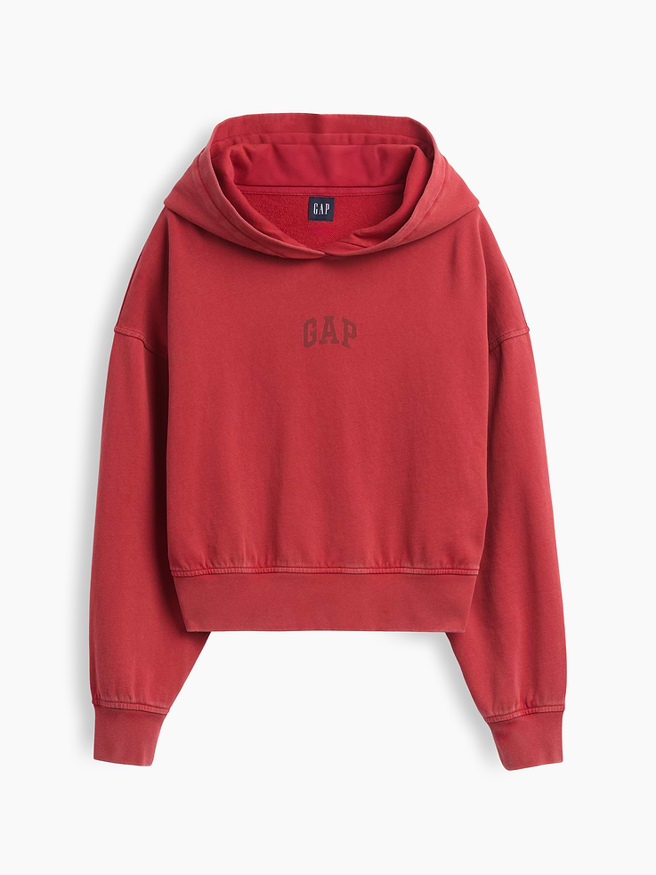Image 5 of 5, VintageSoft Terry Logo Hoodie