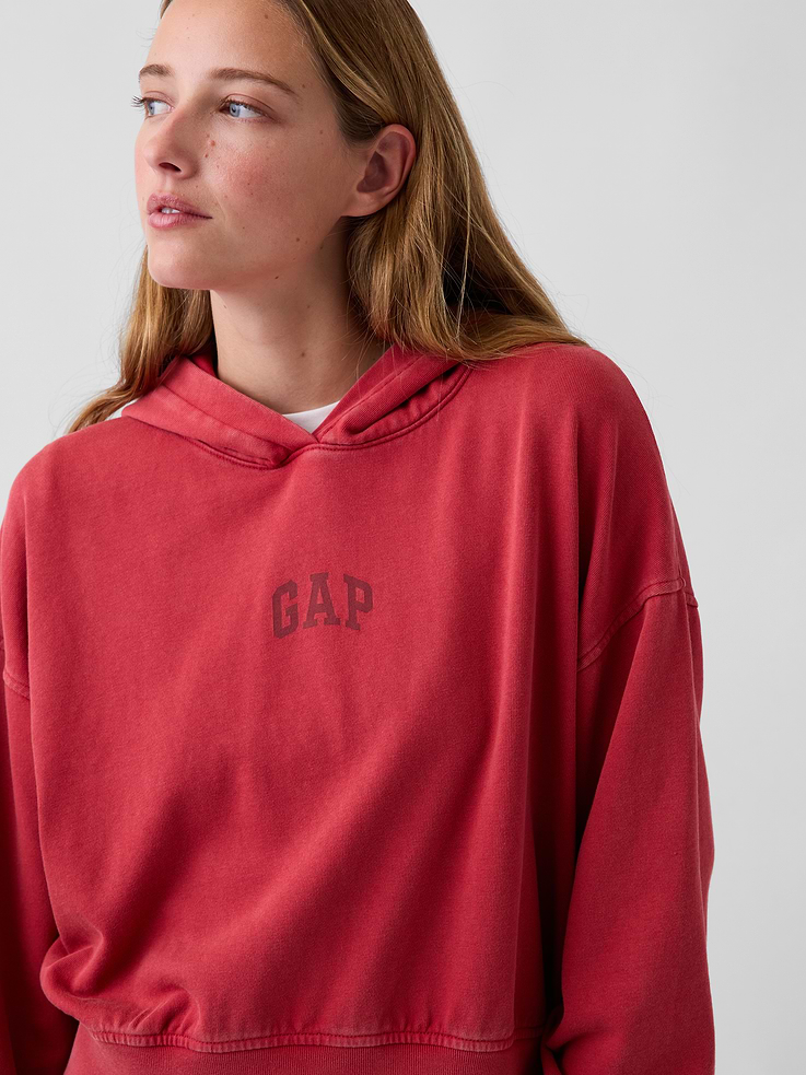 Image 4 of 5, VintageSoft Terry Logo Hoodie
