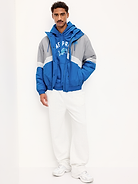 Image 3 of 5, Detroit Lions Oversized Pullover Hoodie for Adults
