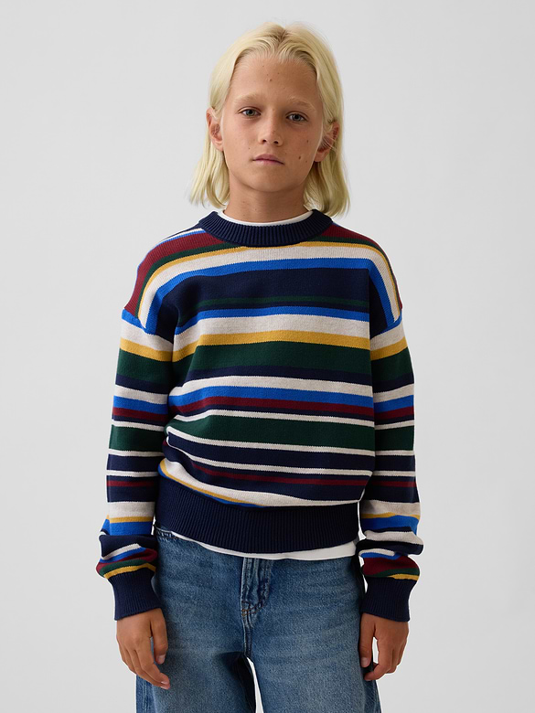 Kids 100% Cotton Relaxed Crew Sweater