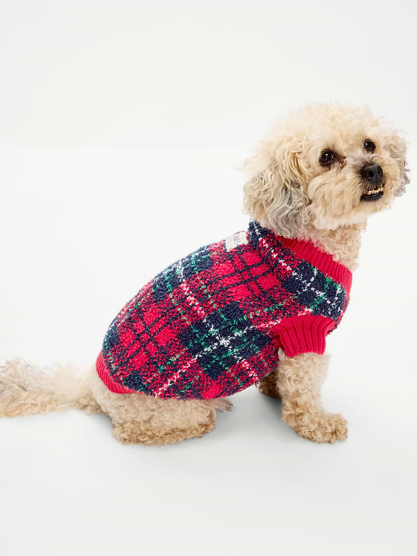 Cozy Sweater for Pets