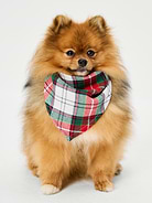 Image 1 of 1, bandana for dogs and cats, easily adjustable for a safe, comfortable fit, Product #915300