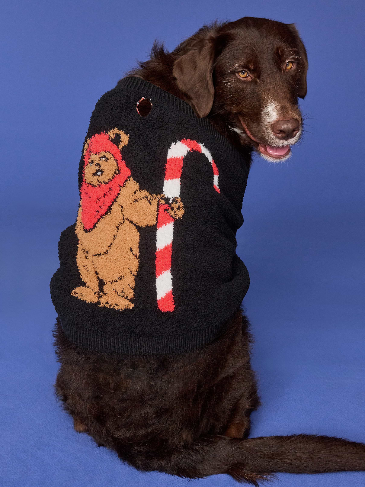 Image 1 of 2, rib-knit collar, rib-knit front leg cuffs and hem, keyhole opening at back neck, licensed graphic at back, ©Disney, © & ™ Lucasfilm, Ltd, Product #907574