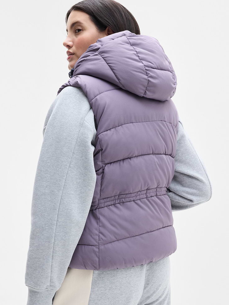 Image 6 of 6, Elemental Puffer Vest