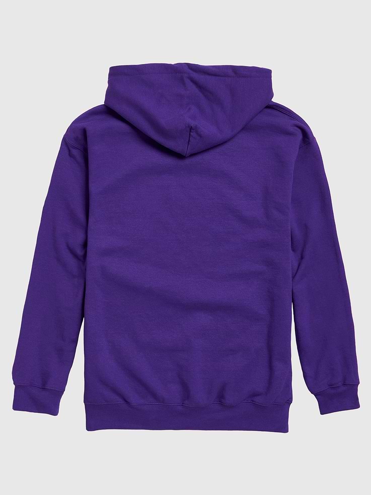 Image 2 of 4, NFL Classic Stripe Pullover Hoodie