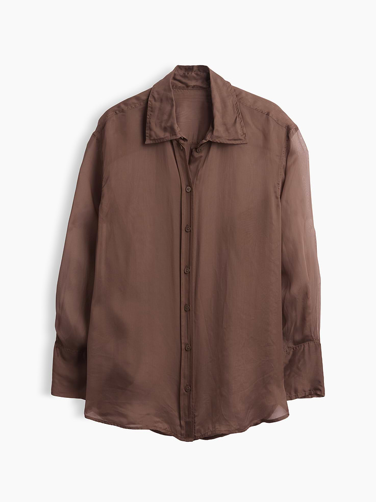 Image 5 of 5, Sheer Organza Big Shirt