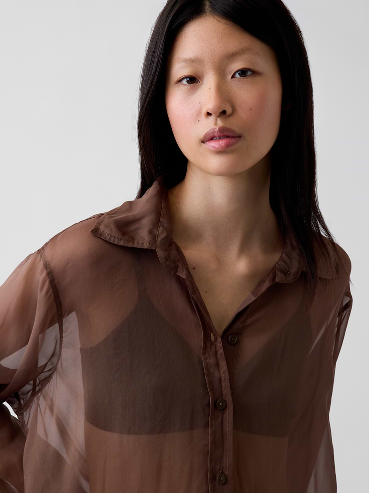 Image 4 of 5, Sheer Organza Big Shirt