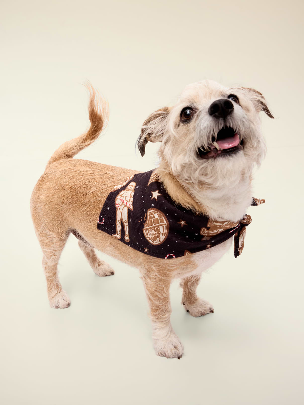 Old Navy x Star Wars™ Bandana for Pets