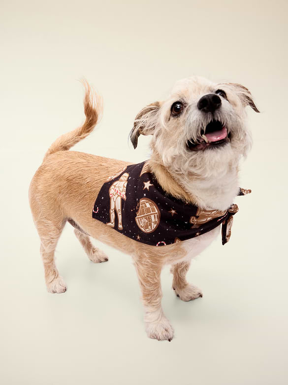 Old Navy x Star Wars™ Bandana for Pets