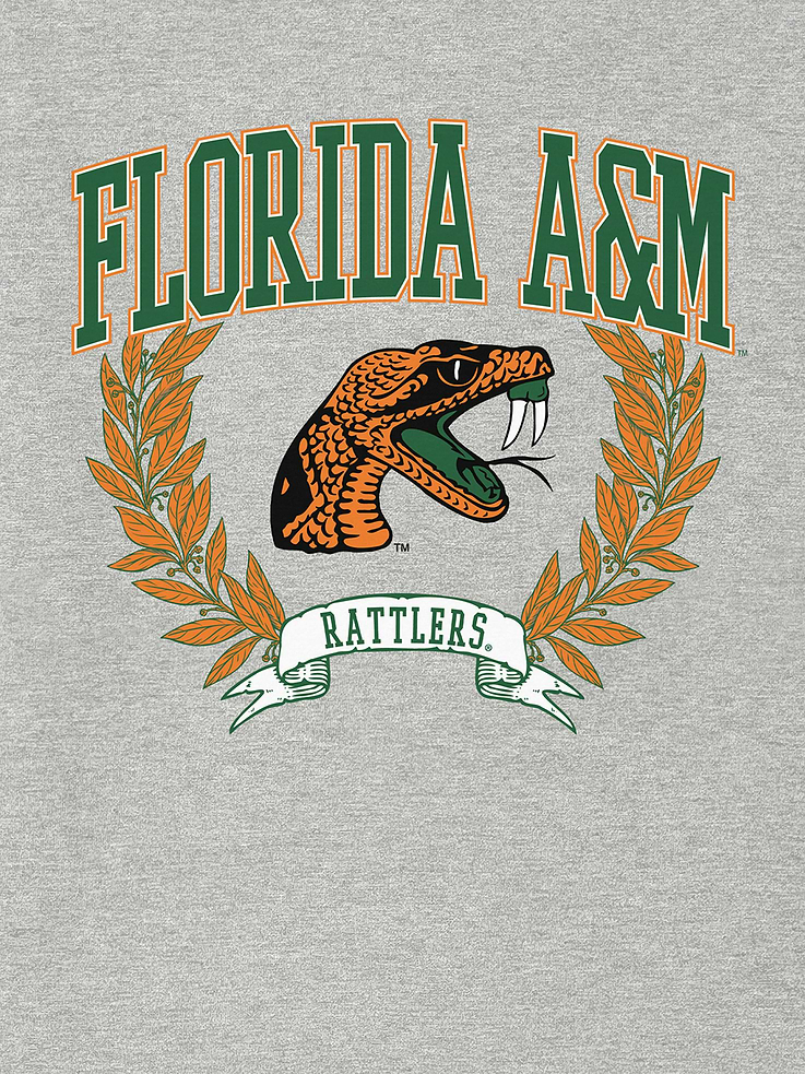 Image 2 of 4, Florida AM University Laurels Dark Graphic T-Shirt