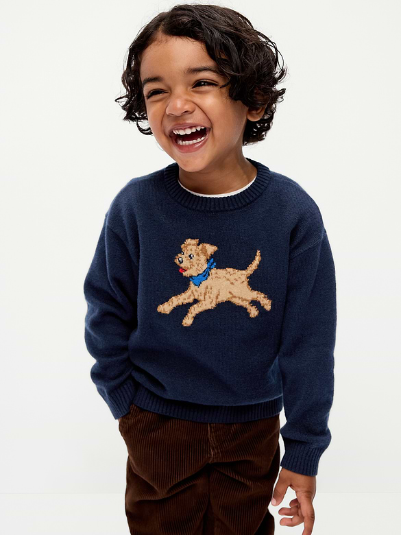 SoSoft Oversized Graphic Sweater for Toddler Boys