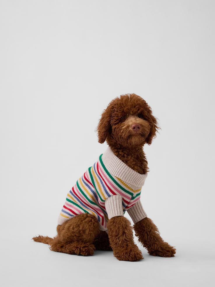 Image 1 of 2, Supersoft knit cotton-blend sweater for pets., Turtleneck., Ribbed sleeves., Opening for leash hook., Product #1184864