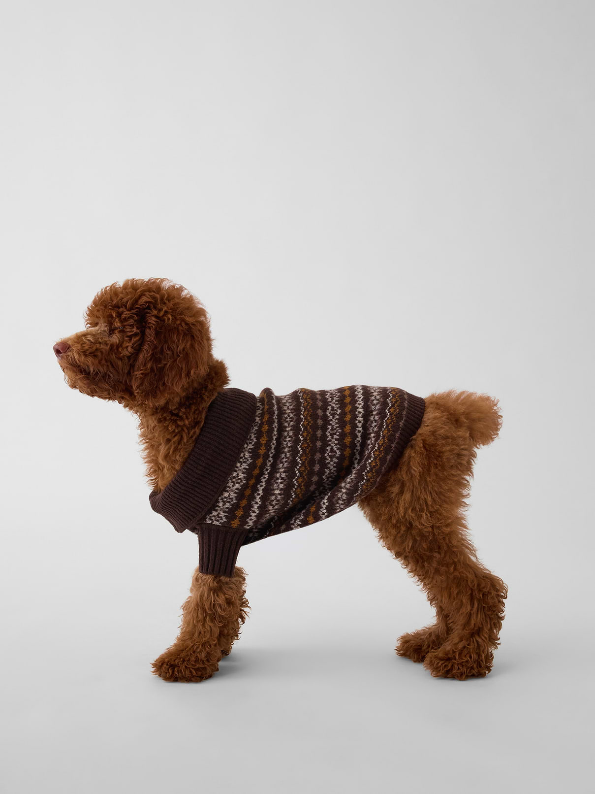 Pet CashSoft Sweater