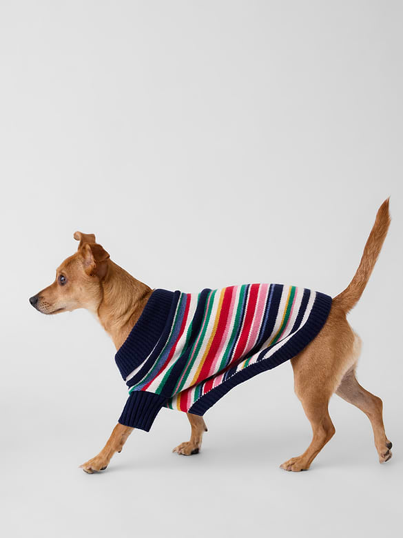 Pet CashSoft Sweater