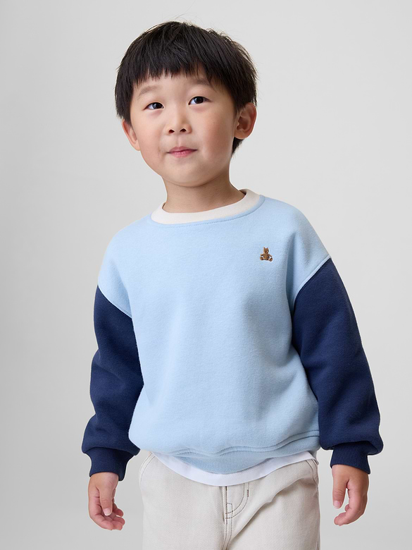 Baby & Toddler VintageSoft Colorblock Sweatshirt