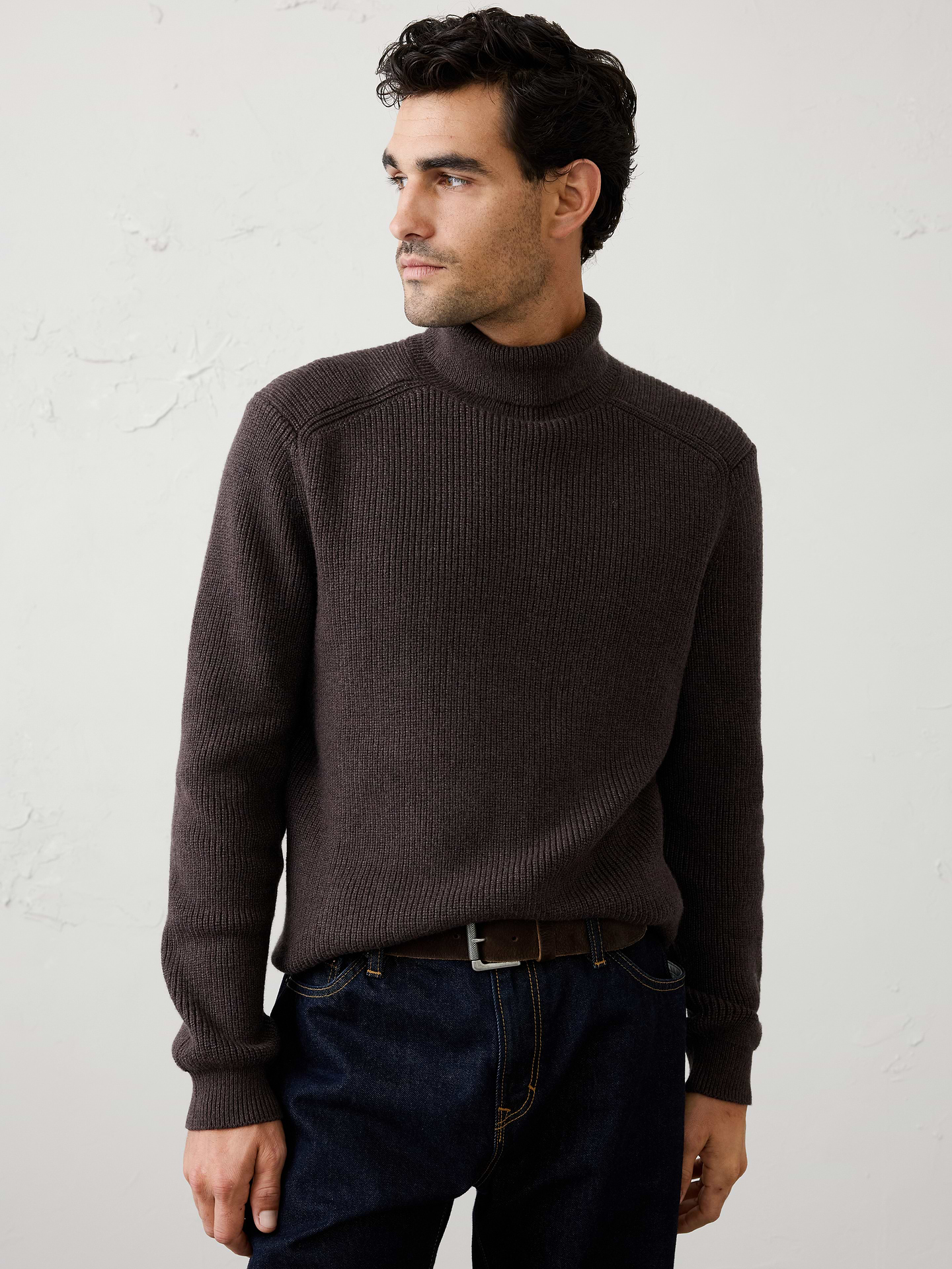 Image 1 of 3, Crafted from our ultra‑soft lofty yarn, this turtleneck sweater delivers exceptional comfort with rich texture and dimension that create a luxurious, elevated look. The cozy turtleneck adds warmth and polish, while the richly textured knit brings depth and visual interest to the silhouette., Folded turtleneck. Long sleeves., Ribbed neckline, arm cuffs and hem., Made exclusively for Banana Republic Factory., Product #1175821