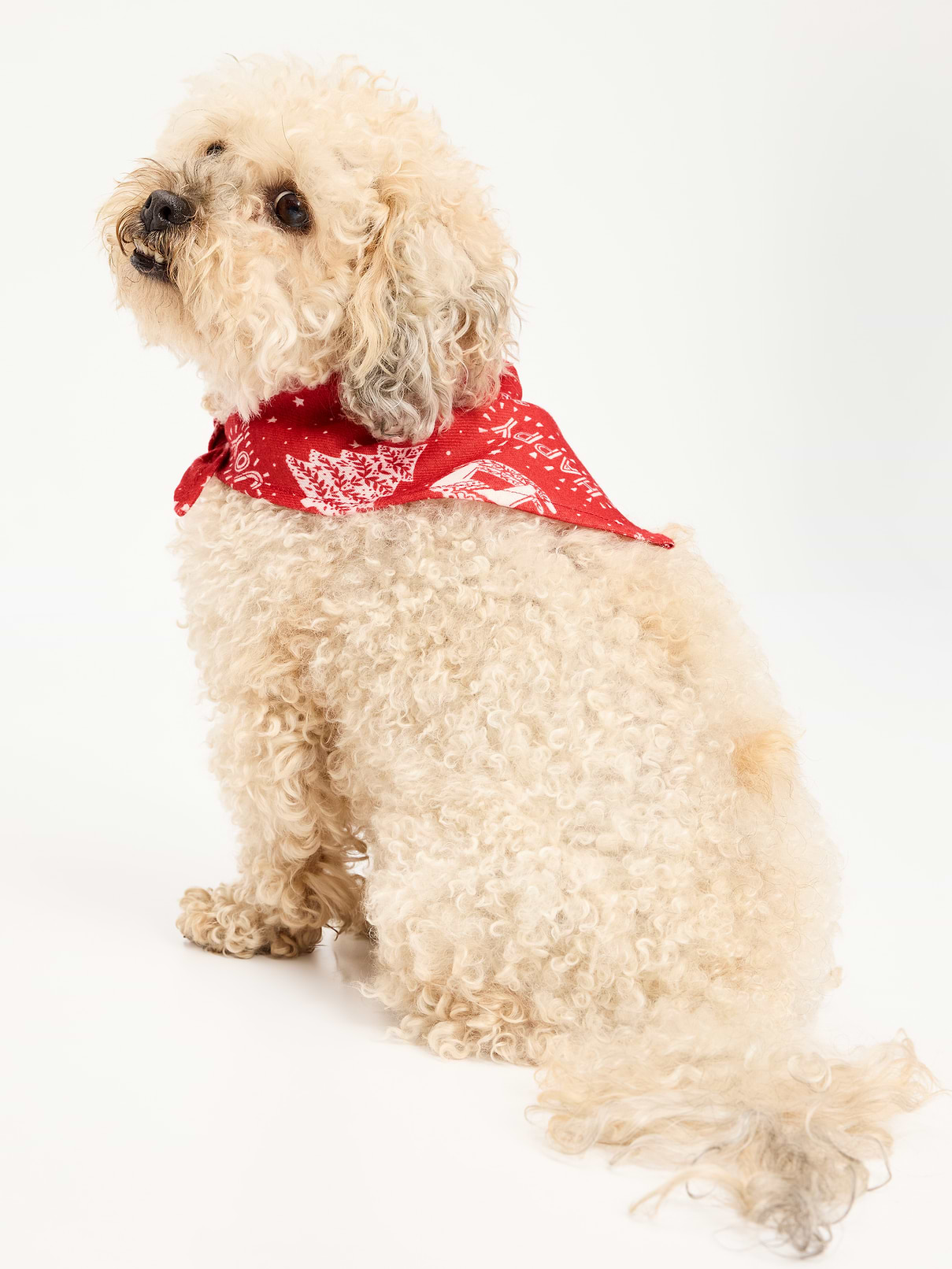 Holiday Bandana for Pets