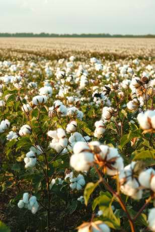 Shoppable Outfit image