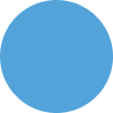 Solid blue circle on a white background.