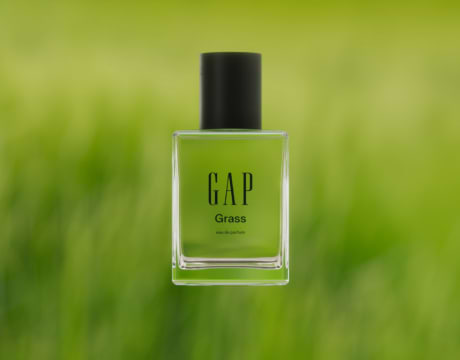 The scent story